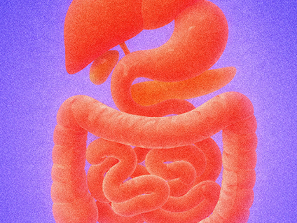 Image without description (no attachment ID found)